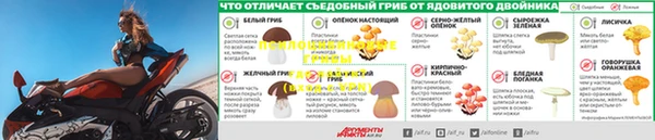 метадон Богородицк